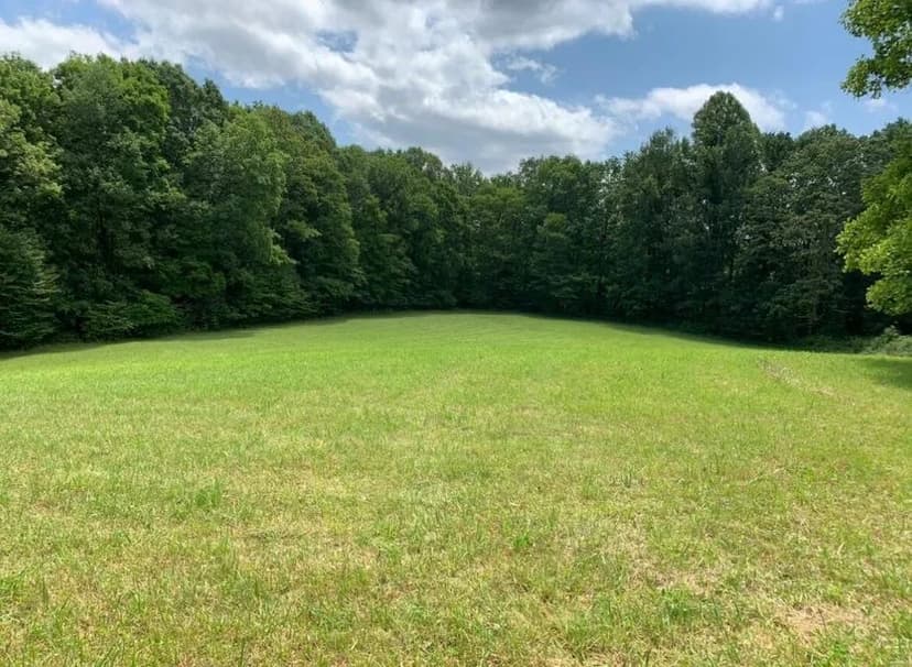 Lots & Land-Other in Nettie