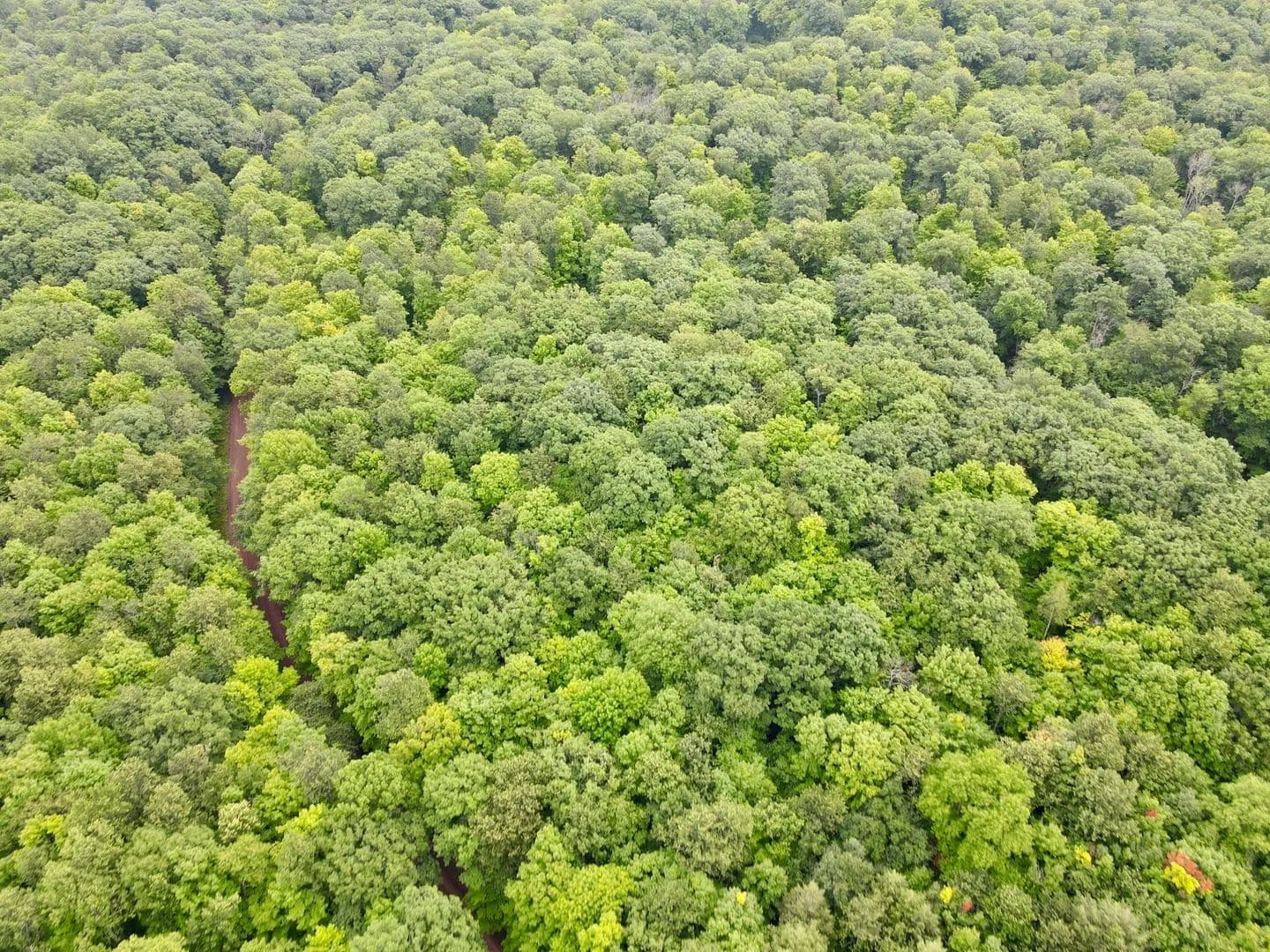 Vacant Land (10+ Acres) in Gleason - Gleason, Wisconsin, 54435