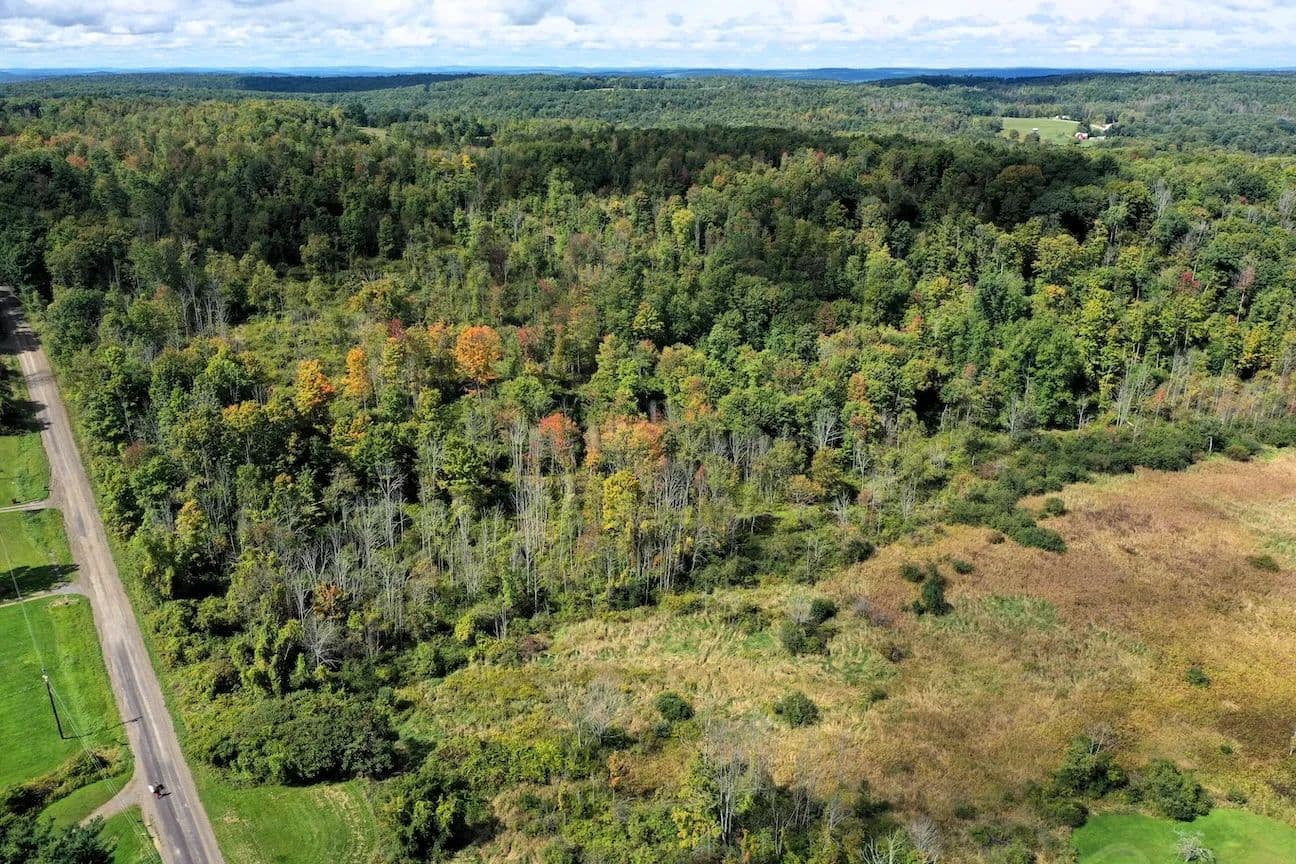 63 acre Recreational and Hunting Property in Caton NY Cheese Factory Rd - Caton, New York, 14830