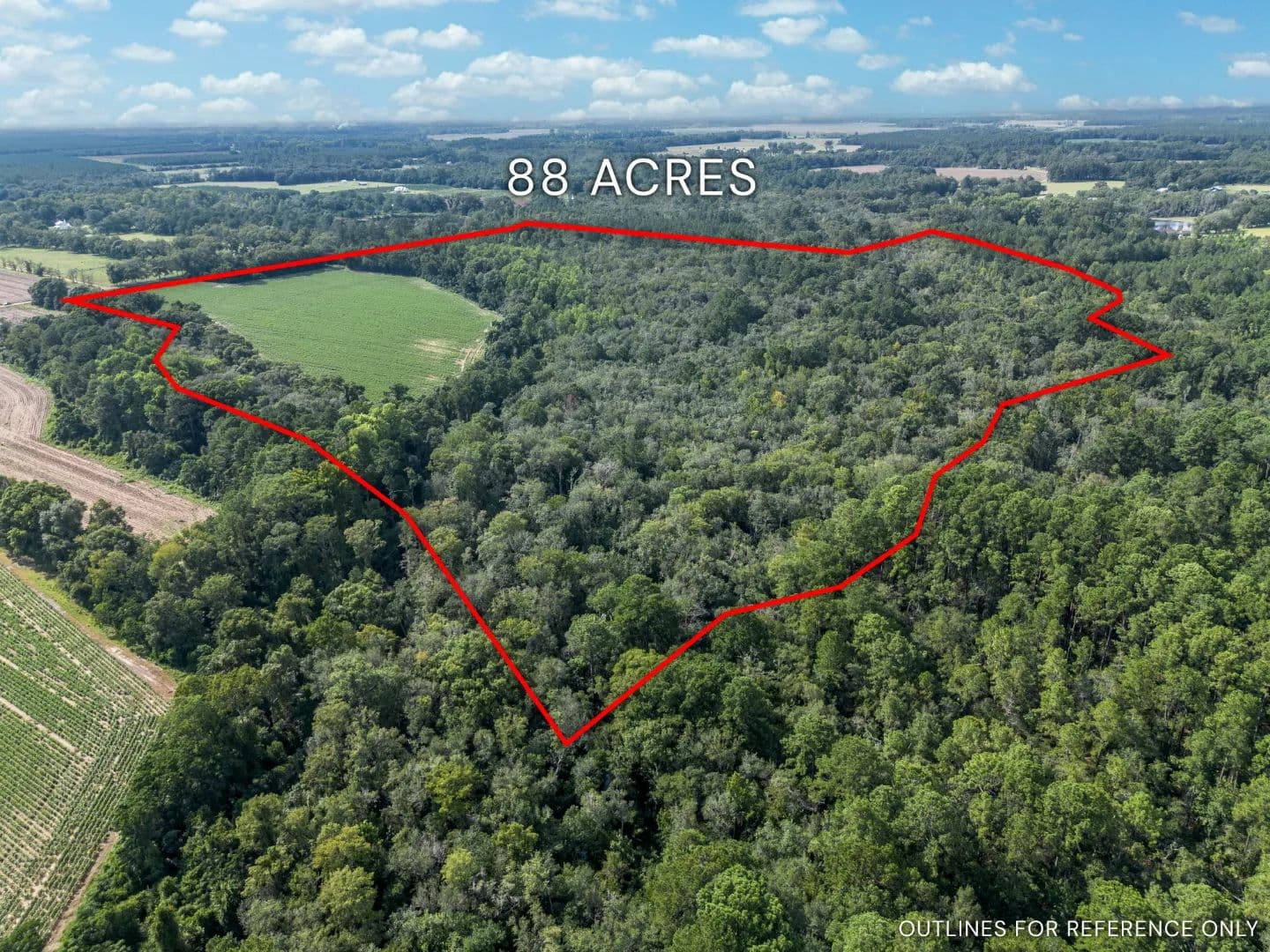 88 Acres - New Bethel Road, Jesup - Jesup, Georgia, 31545