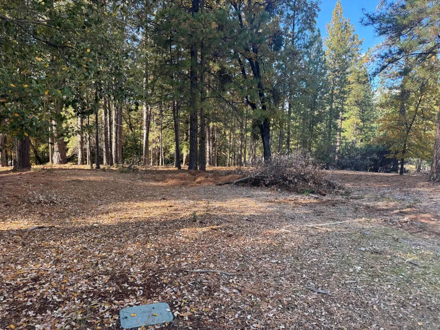 1.1 Acres of Land for Sale in Foresthill, California - Foresthill, California, 95631