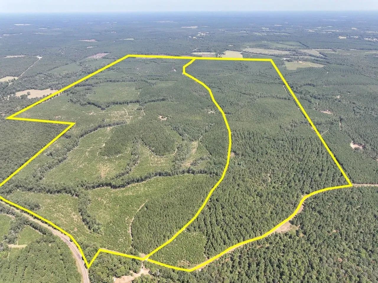 373 Acres | T-1 | FM 256 - Woodville, Texas, 75979