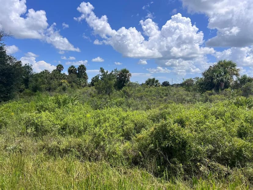 Lots & Land-Other in Okeechobee