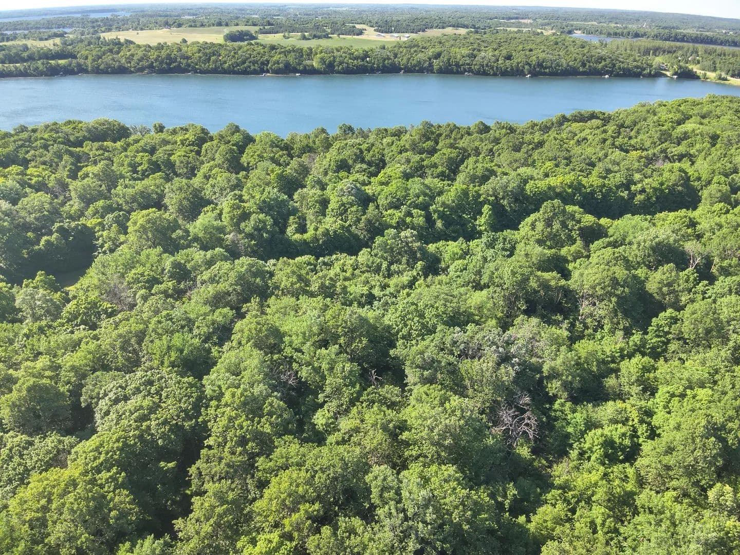 4.43 Acres of Land for Sale in Dent, Minnesota - Dent, Minnesota, 56528