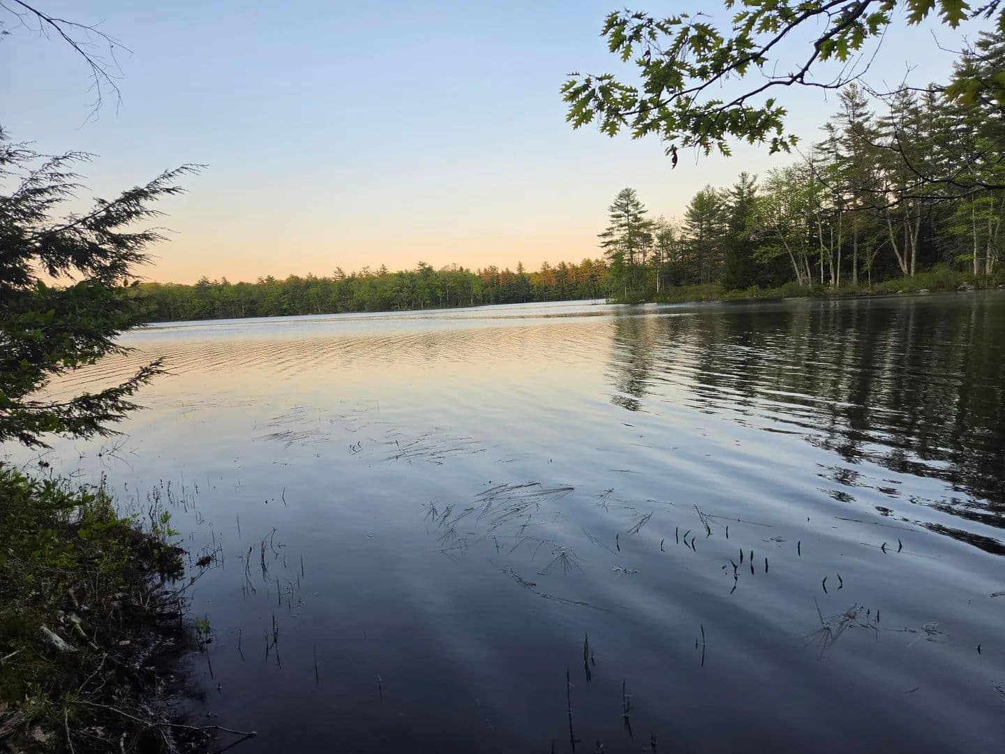 22 Acres of Land for Sale in Somerville, Maine - Somerville, Maine, 04348