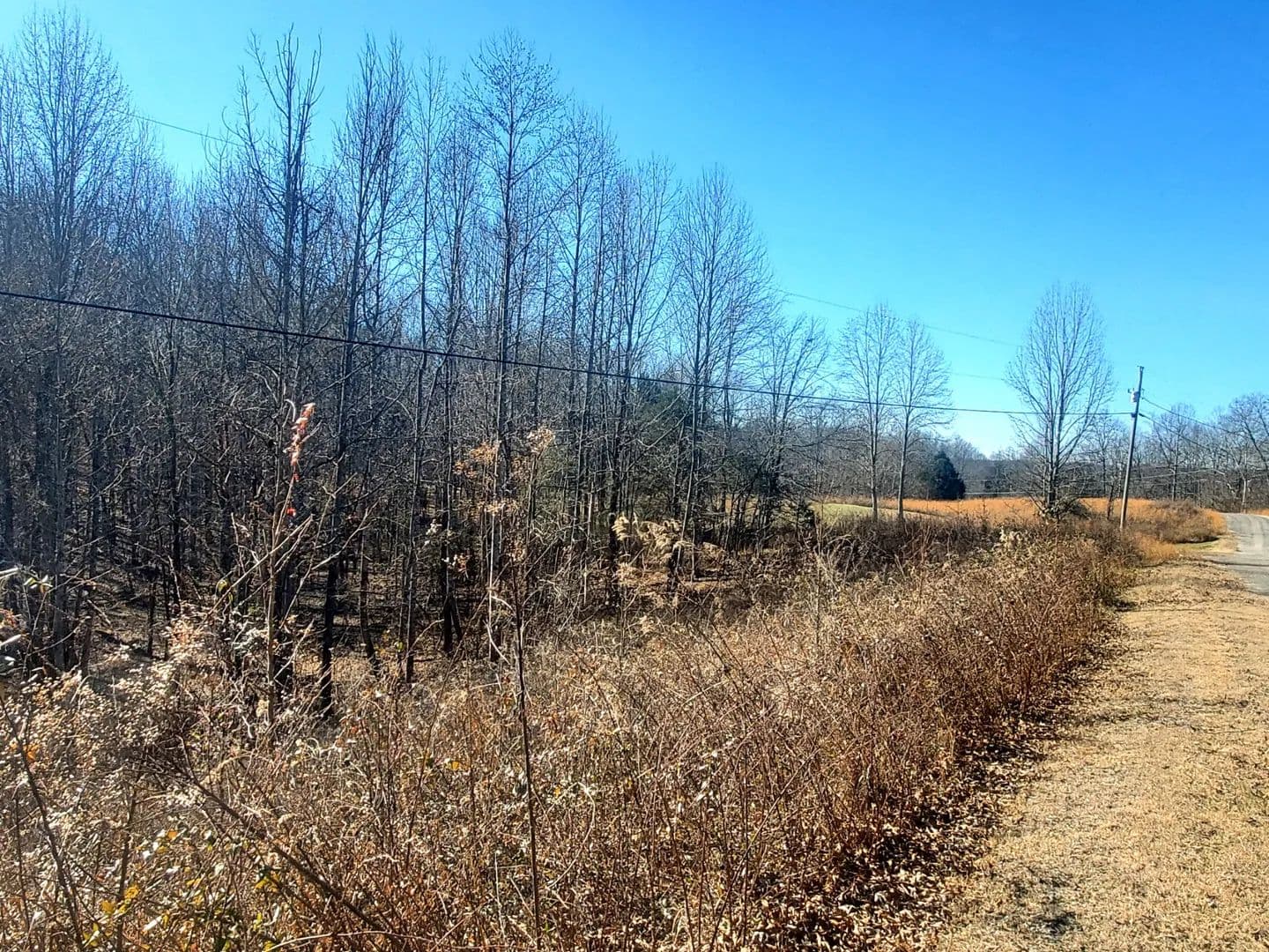 Vacant Land in Smithville - Smithville, Tennessee, 37166