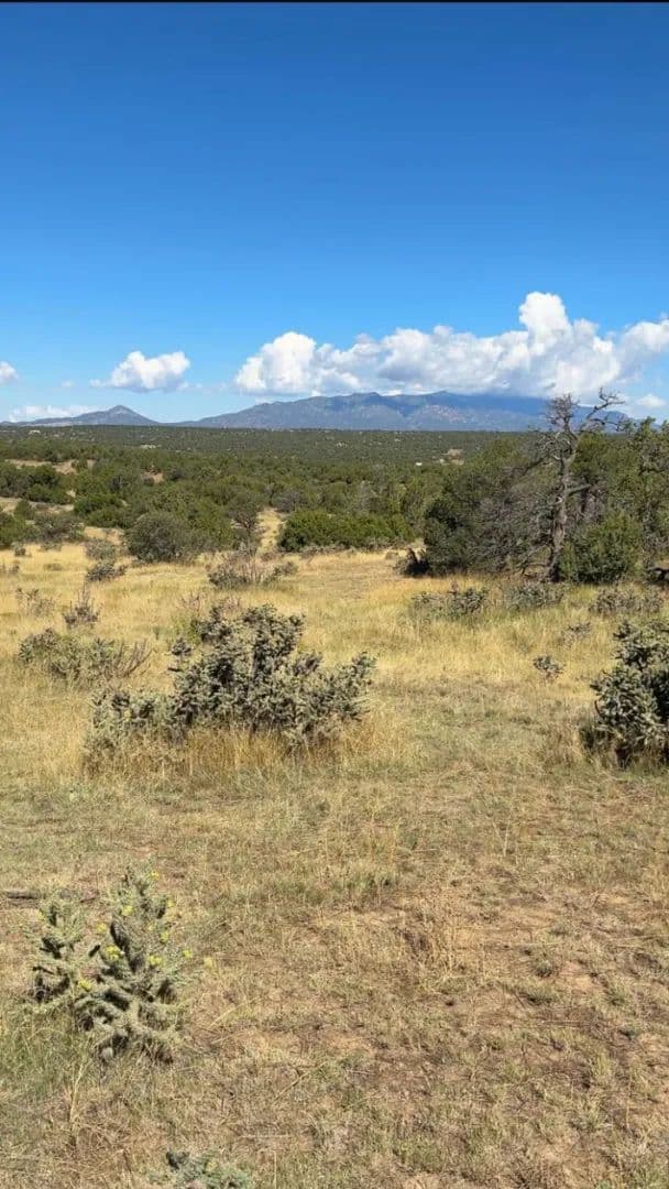 LOT 463 RIO CUCHARAS PHASE 2 335-339, Walsenburg, CO 81089 - Walsenburg, Colorado, 81089