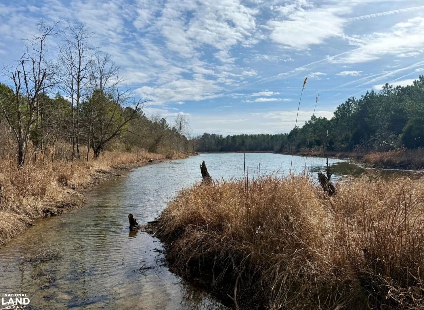 Jasper Homestead/Hunting/Recreational Tract - Jasper, Alabama, 35503