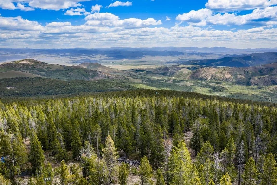 20.7 Acres of Land for Sale in Anaconda, MT - Anaconda, Montana, 59711
