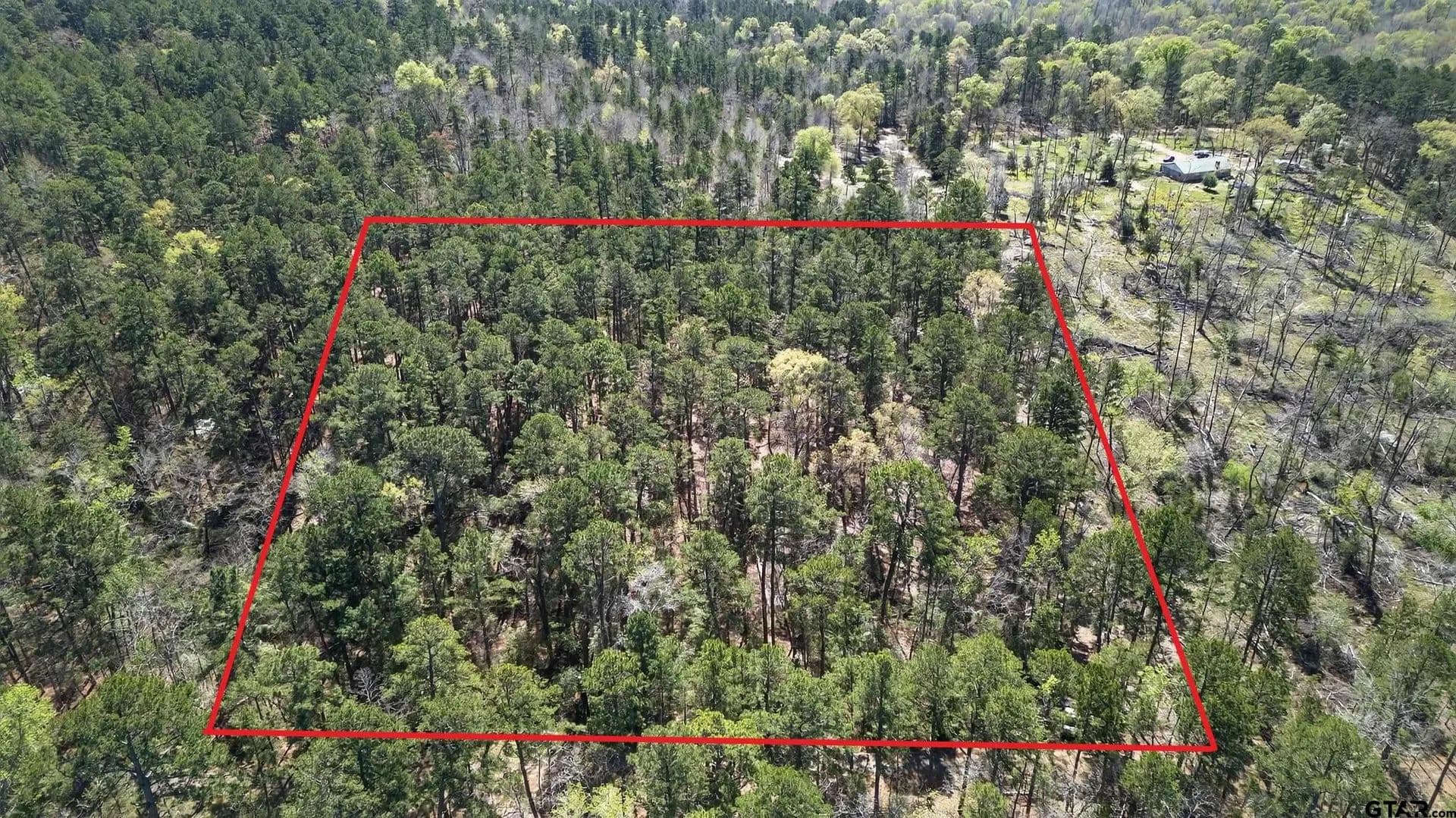 Vacant Land in Frankston - Frankston, Texas, 75763