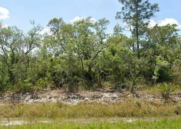 Lots & Land-Other in LAKE PLACID - Lake Placid, Florida, 33852
