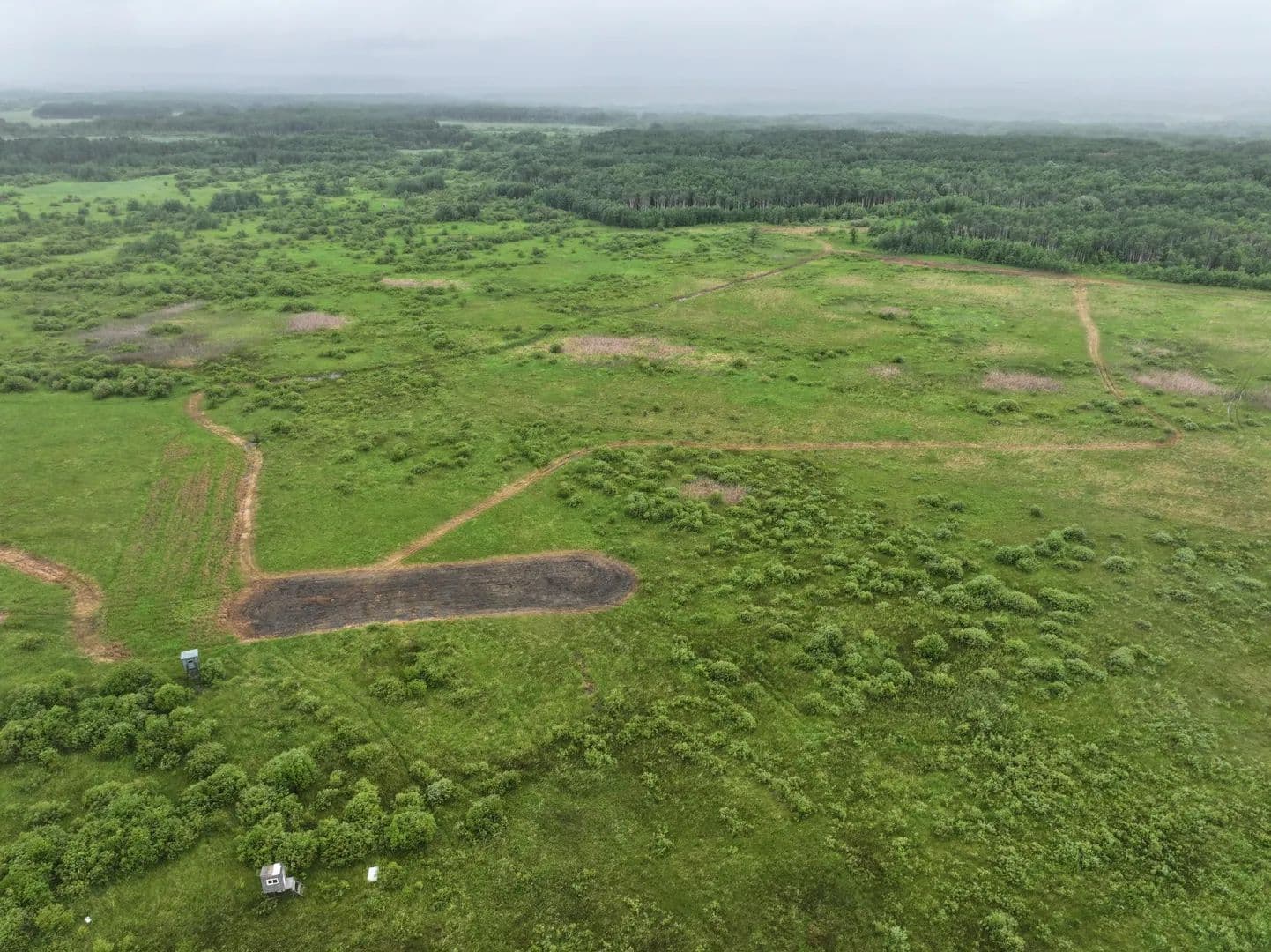 80 Acres of Land for Sale in Lancaster, Minnesota - Lancaster, Minnesota, 56735