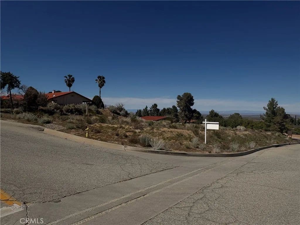 Vacant Land in Llano - Llano, California, 93544