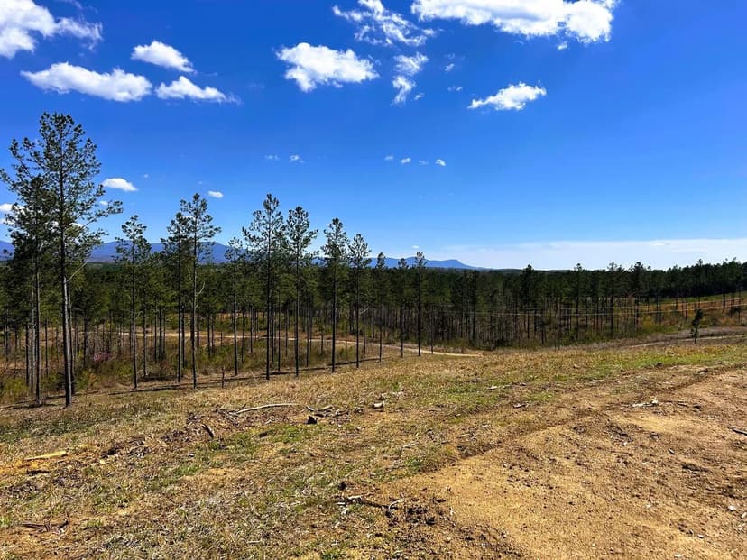 Property from Tract 26a Hughes Lake Road Se - KW