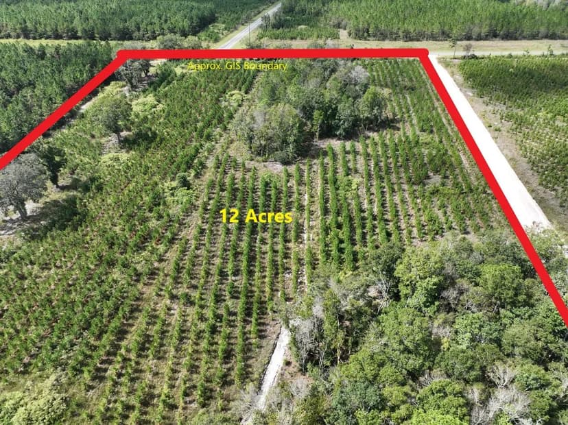 12 Acres on Jamestown Rd