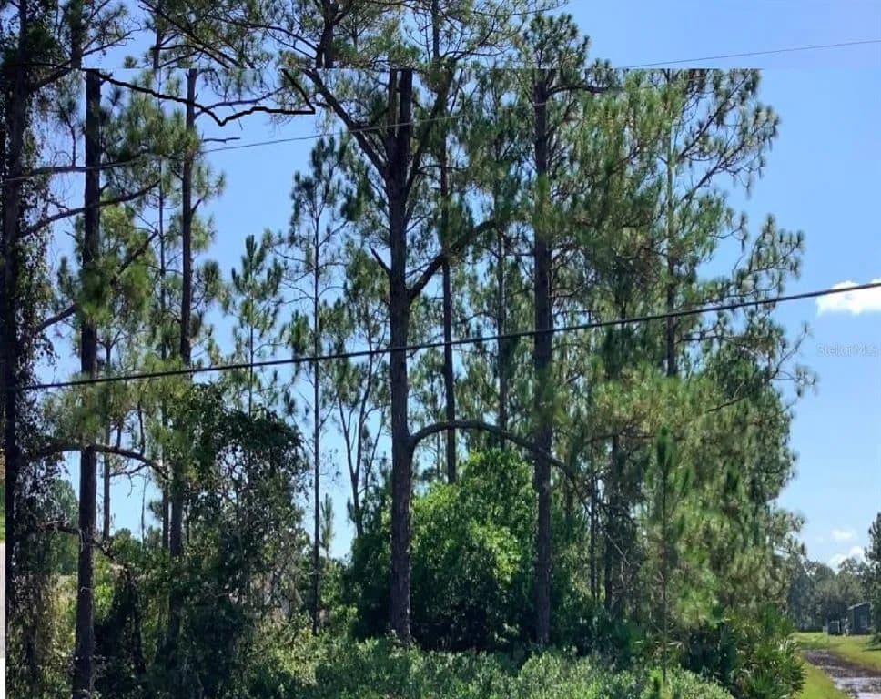 Vacant Land in ORLANDO - Orlando, Florida, 32833
