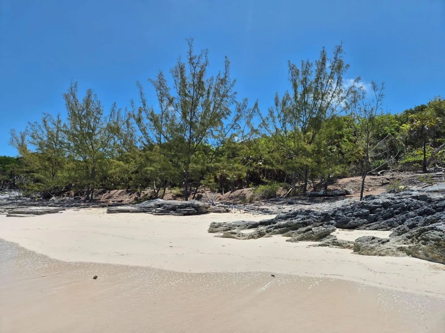 Vacant Land in Rose Island - The Bahamas