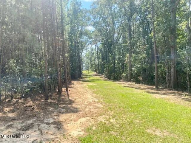 10 Acres | Smithdale, MS 