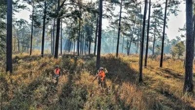 Fox Creek Plantation