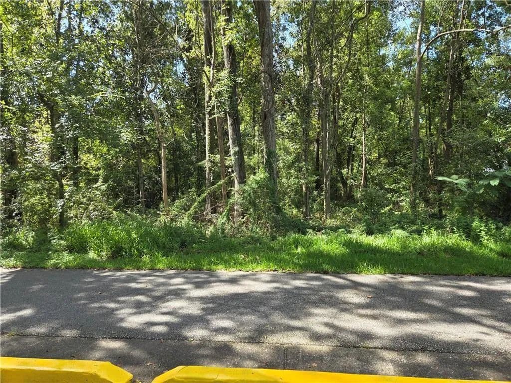 Vacant Land in Mandeville - Mandeville, Louisiana, 70448