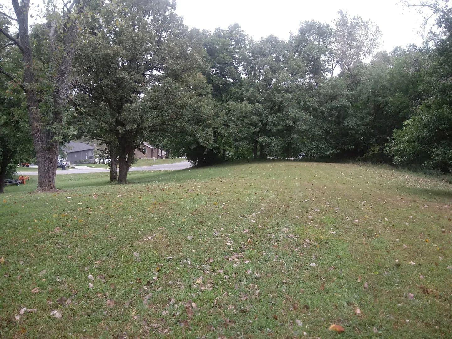 Land -Single Family Acreage in Altamont - Altamont, Missouri, 64620