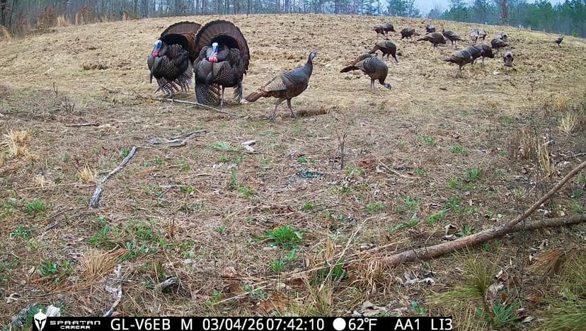 Brush Creek Hunting Camp