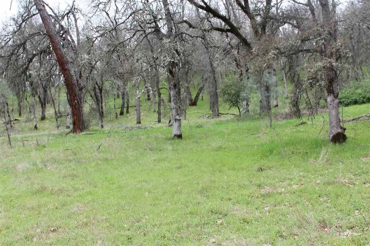 Lots & Land-Other in Sonora - Sonora, California, 95370