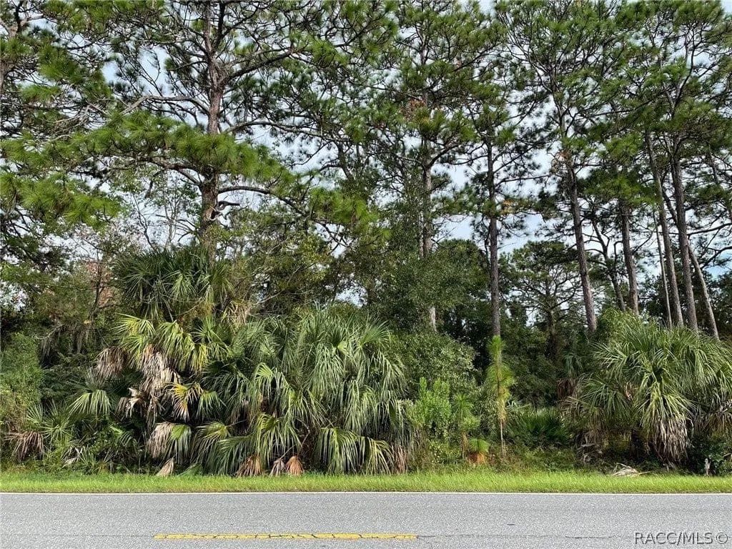 Lots & Land-Other in Homosassa - Homosassa, Florida, 34448