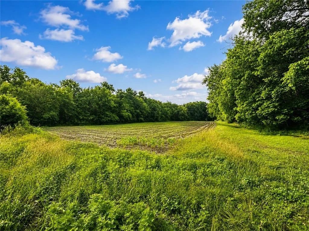 Land -Agricultural (Not Zoned) in Lerna - Lerna, Illinois, 61920
