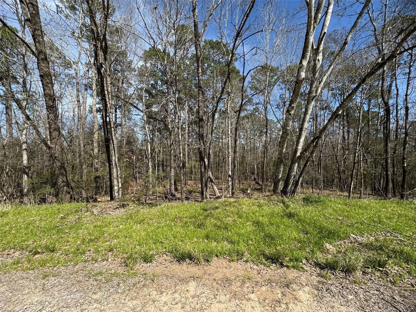 Vacant Land in Coldspring - Coldspring, Texas, 77331
