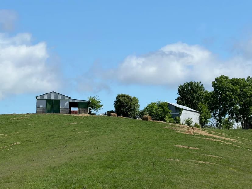 Vacant Land in Williamstown