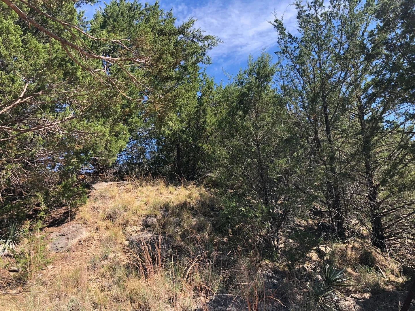 Vacant Land in Azle - Azle, Texas, 76020