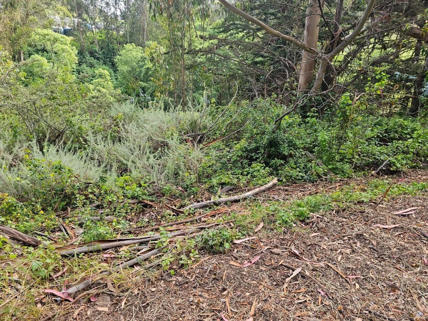 Vacant Land in Half Moon Bay - Half Moon Bay, California, 94019