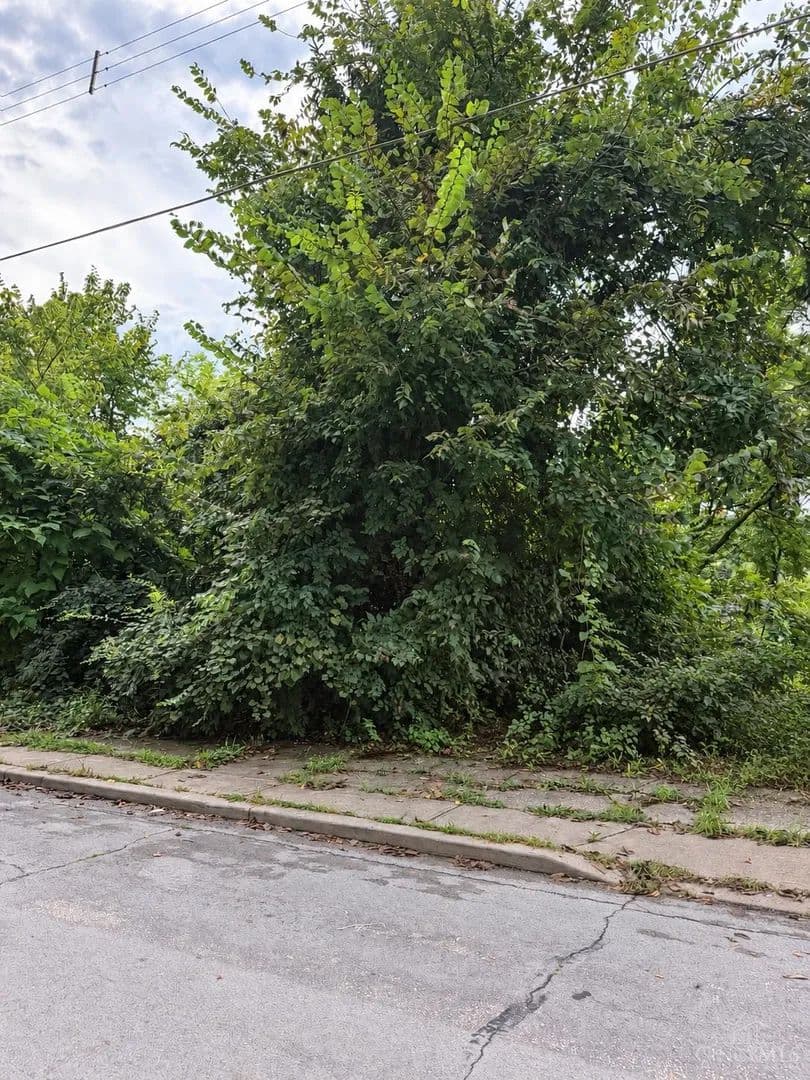 Vacant Land in Cincinnati - Cincinnati, Ohio, 45214