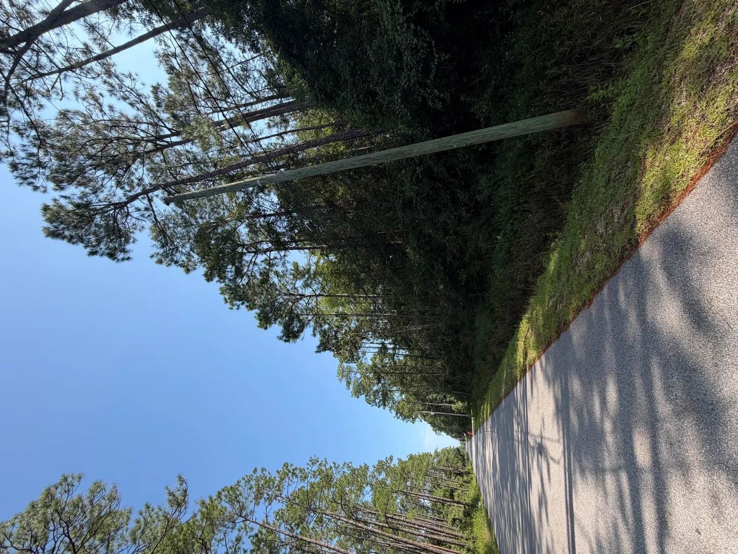Lots & Land-Other in Milton - Milton, Florida, 32583