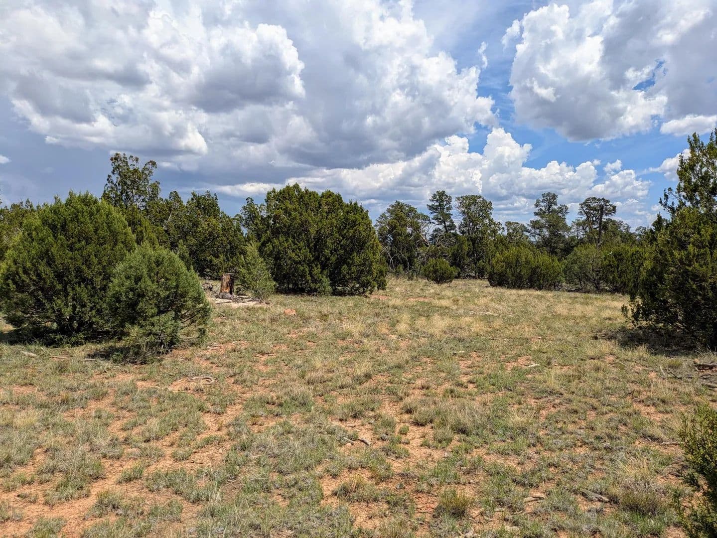 Lots & Land-Other in Happy Jack - Happy Jack, Arizona, 86024