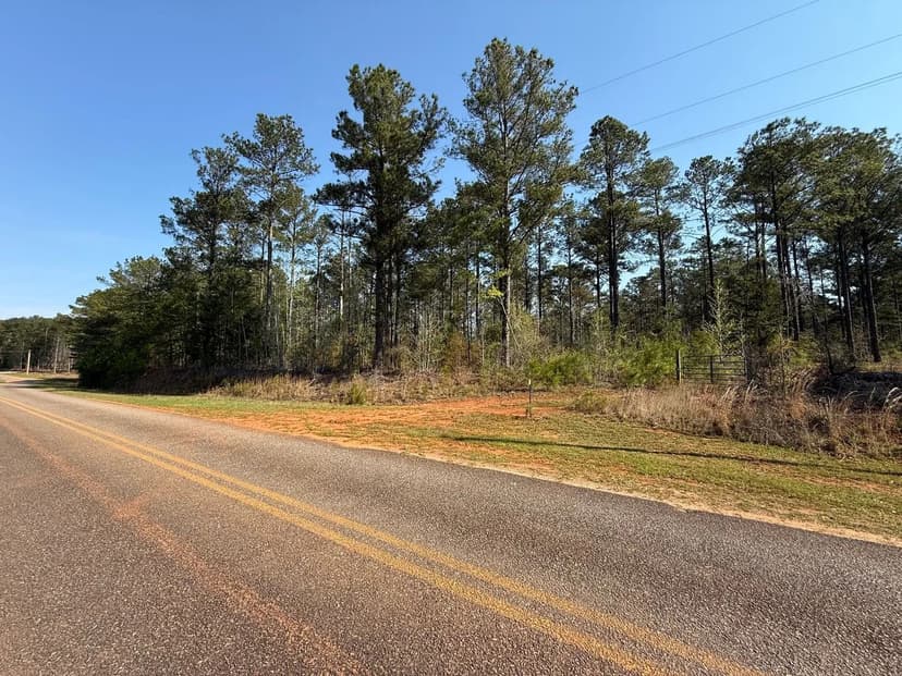 31 +/- Acres - Waverly, AL