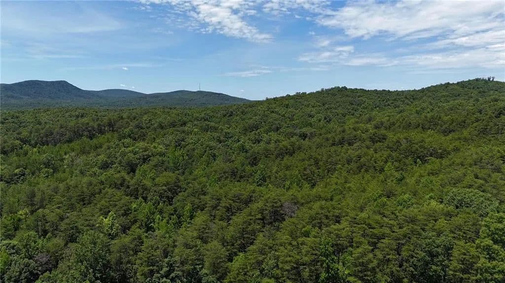 47.09 Acres of Land for Sale in Rydal, GA - Rydal, Georgia, 30171