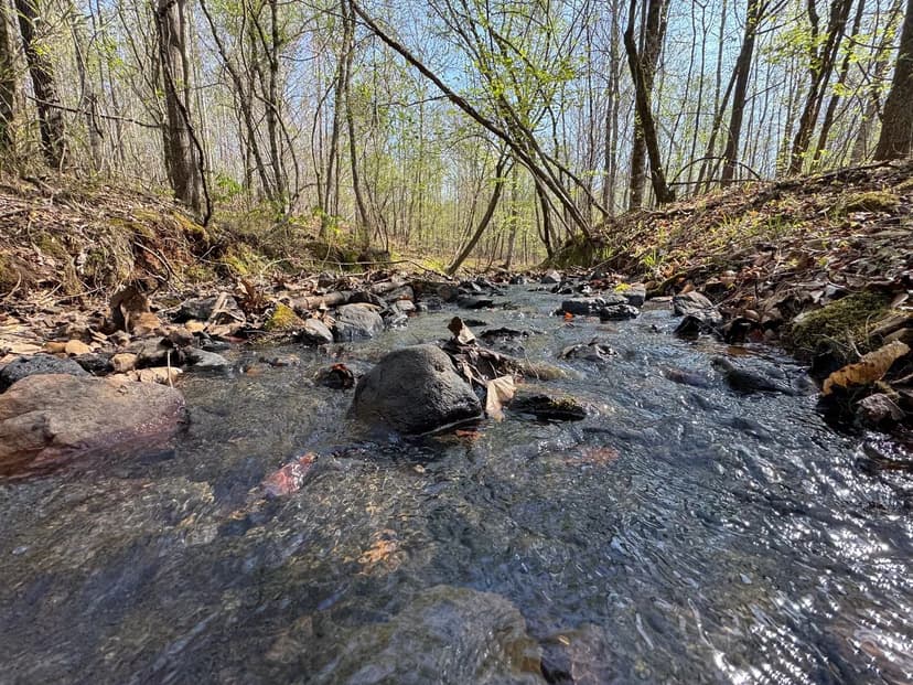 Great Opportunity Close to Lake Martin