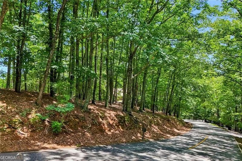 1.02 Acres of Land for Sale in Big Canoe, GA - Georgia, 30143