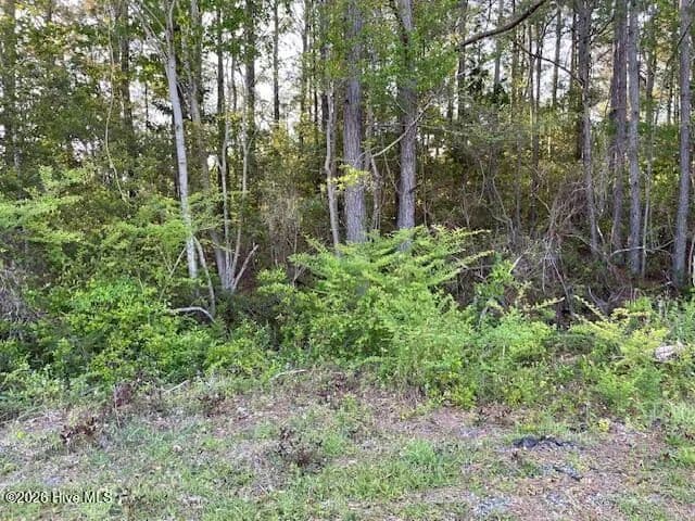 Vacant Land in Southport - Southport, North Carolina, 28461