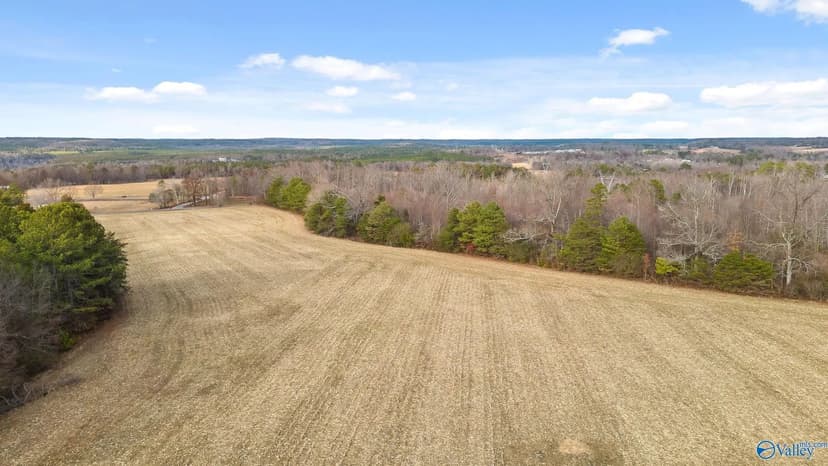 Property from 38 Acres County Road 127 - KW