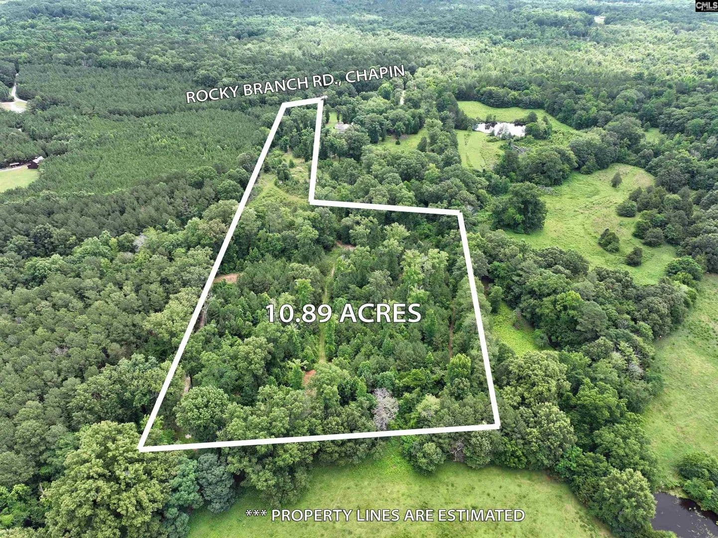 Vacant Land in Chapin - Chapin, South Carolina, 29036