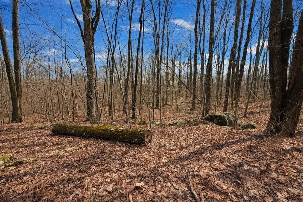 Lots & Land-Other in Williamsburg - Williamsburg, Massachusetts, 01096