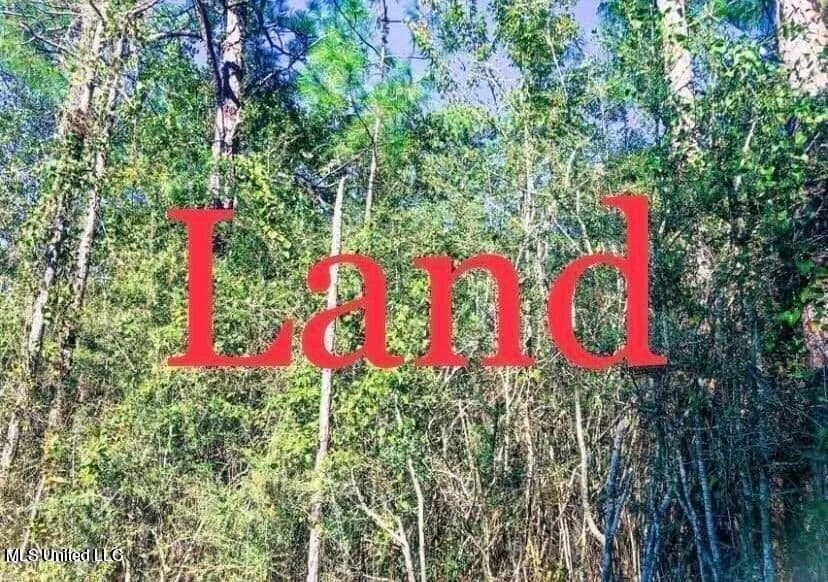 Property from 21st Avenue - KW - Bay Saint Louis, Mississippi, 39520