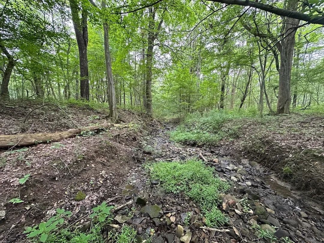 5 acres Hunting Land and Recreational Land with Stream and Owner Financing near State Land in Granger NY Flat Iron Rd Lot 2 - Hunt, New York, 14846