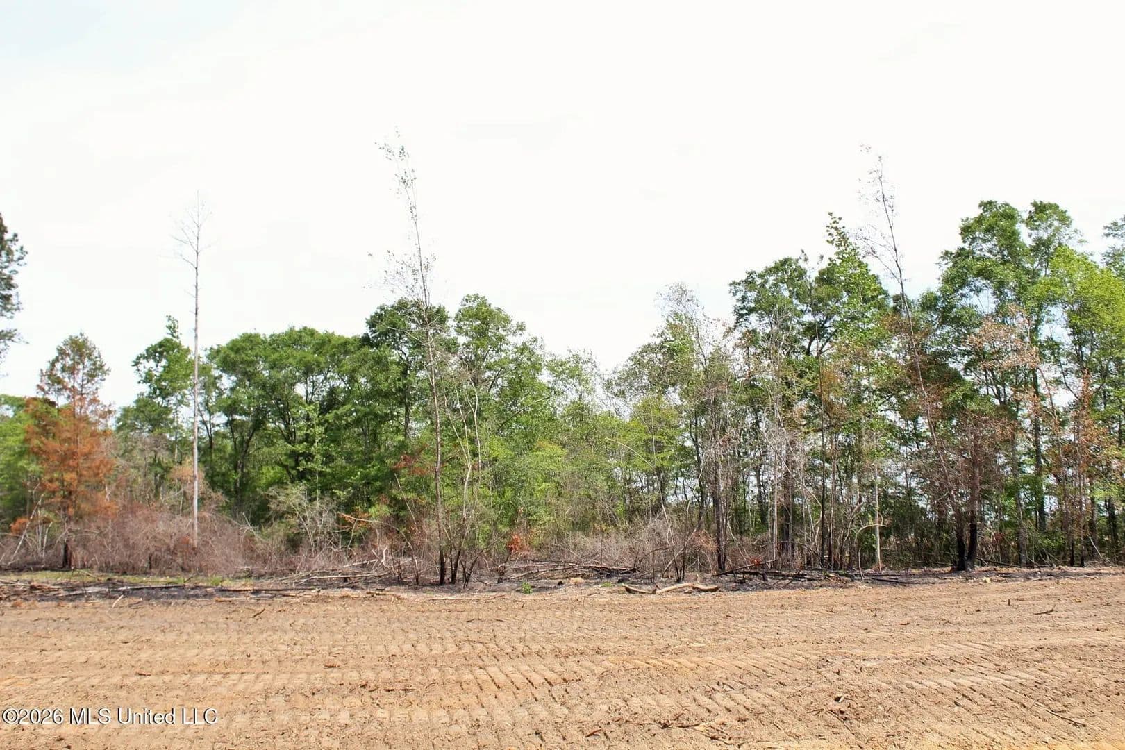 Lots & Land-Other in Lucedale - Lucedale, Mississippi, 39452