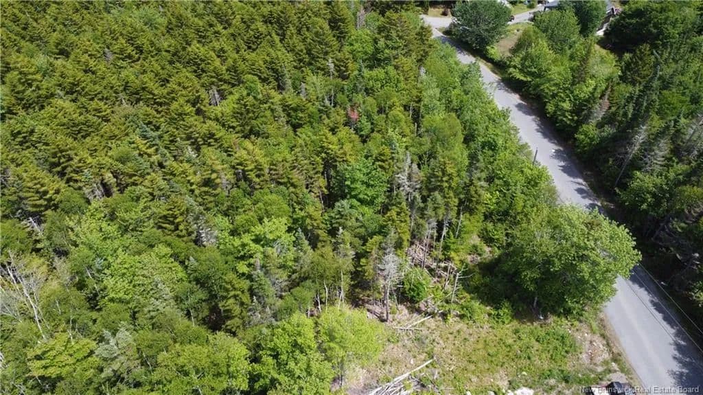 Land for Sale in Grand Bay-Westfield, NB - Canada