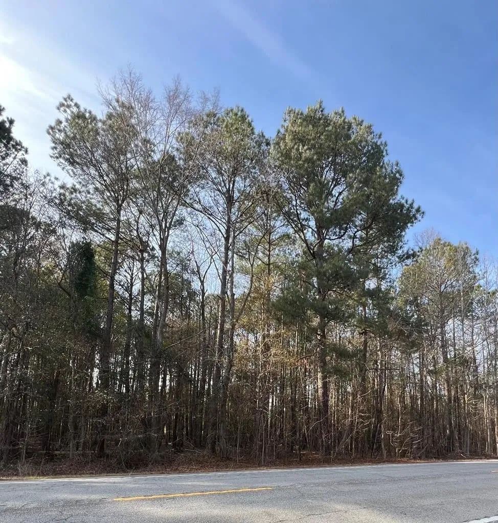 Lots & Land-Other in Manning - Manning, South Carolina, 29102