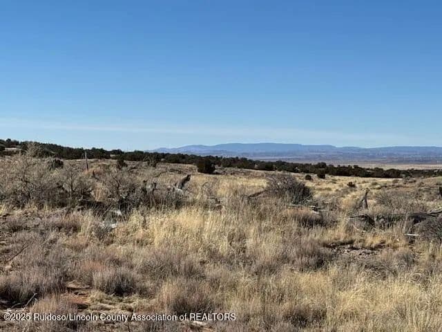 Land -Agricultural (Not Zoned) in Ancho - Ancho, New Mexico, 88301